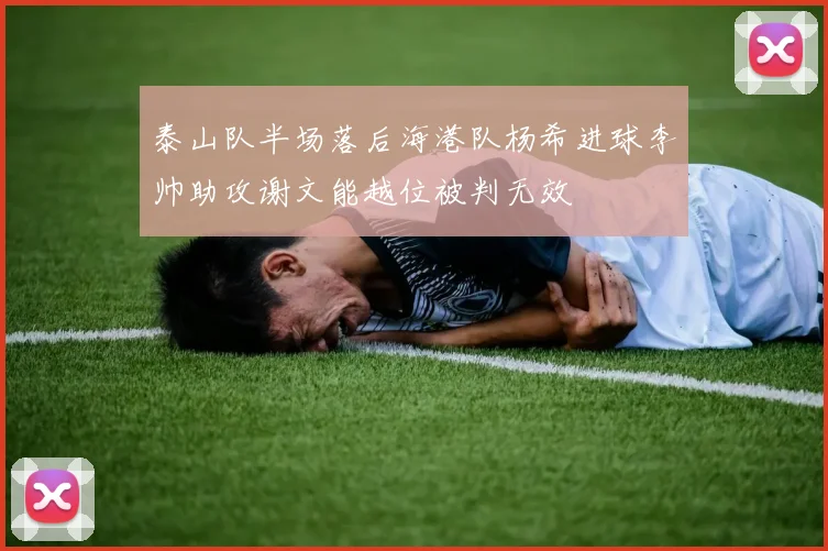泰山队半场落后海港队杨希进球李帅助攻谢文能越位被判无效