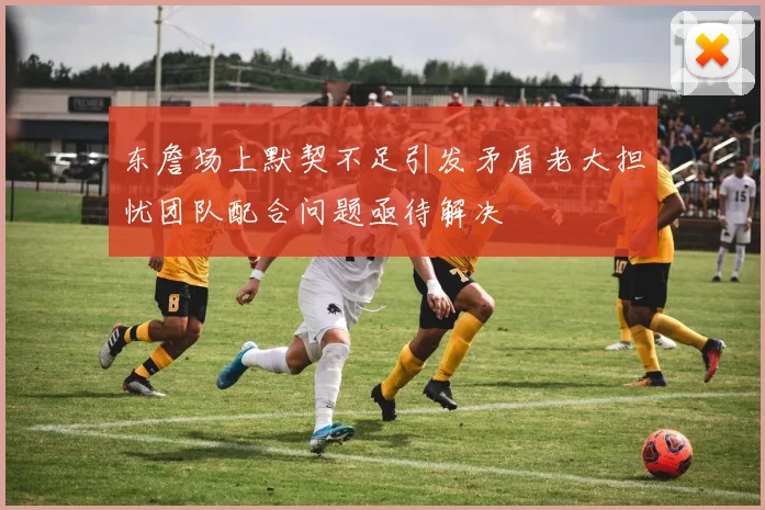 东詹场上默契不足引发矛盾老大担忧团队配合问题亟待解决