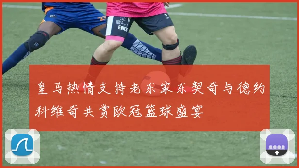 皇马热情支持老东家东契奇与德约科维奇共赏欧冠篮球盛宴